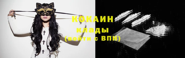 гидра Белокуриха