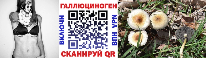 Галлюциногенные грибы Magic Shrooms  Купить  Алупка 